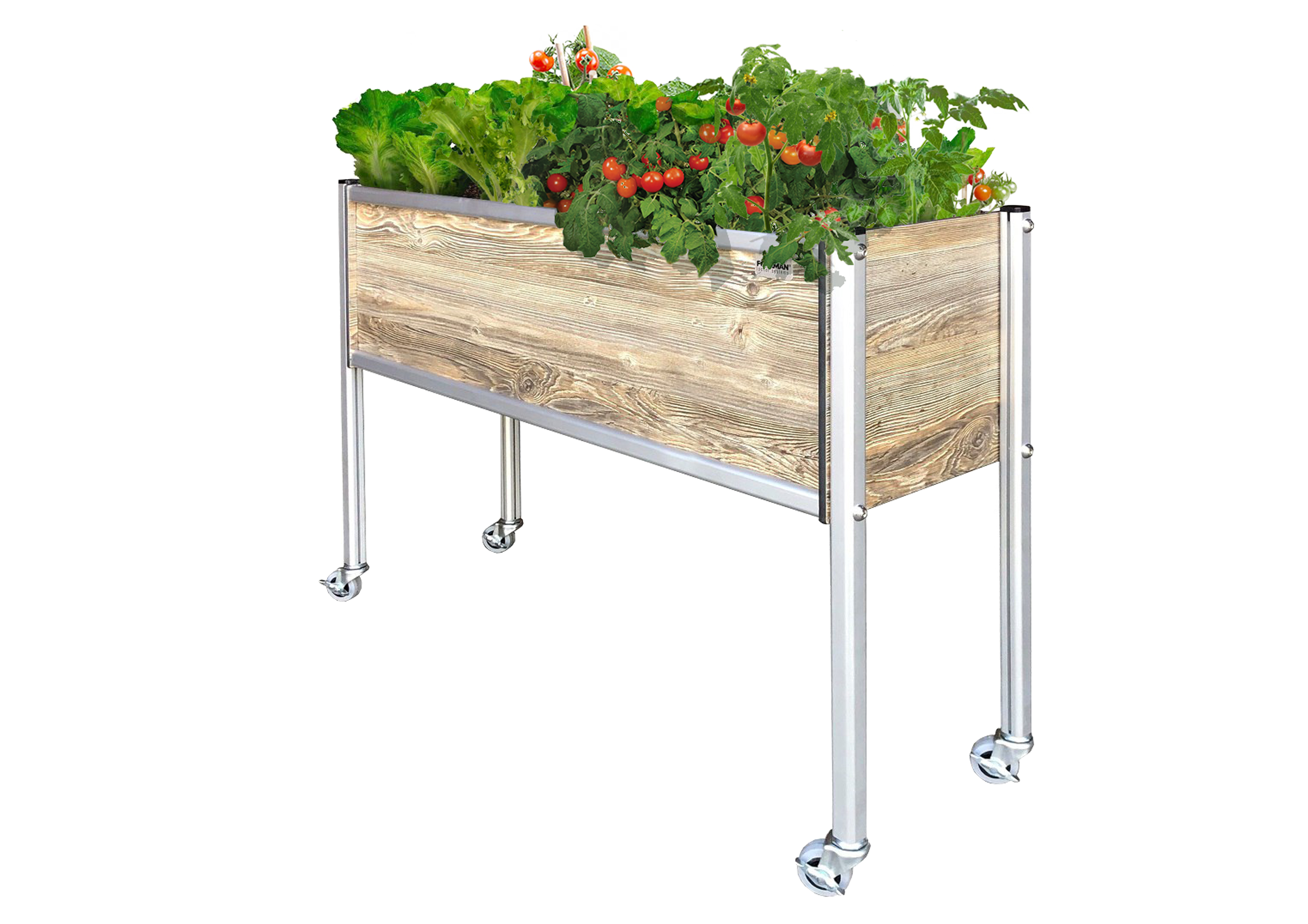 raised garden bed