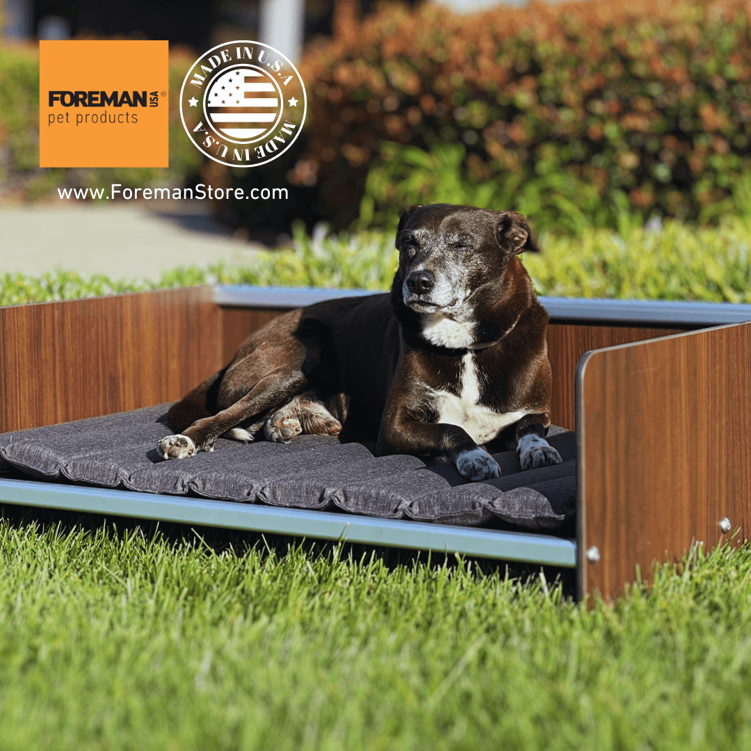 FOREMAN® Elevated Dog Bed Frame - FOREMAN® Products