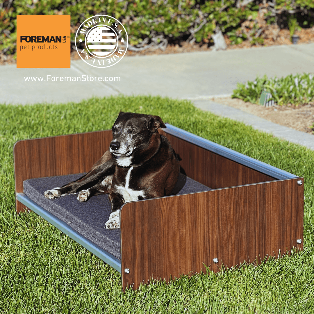 FOREMAN® Elevated Dog Bed with Washable Mattress Cover - FOREMAN® Products