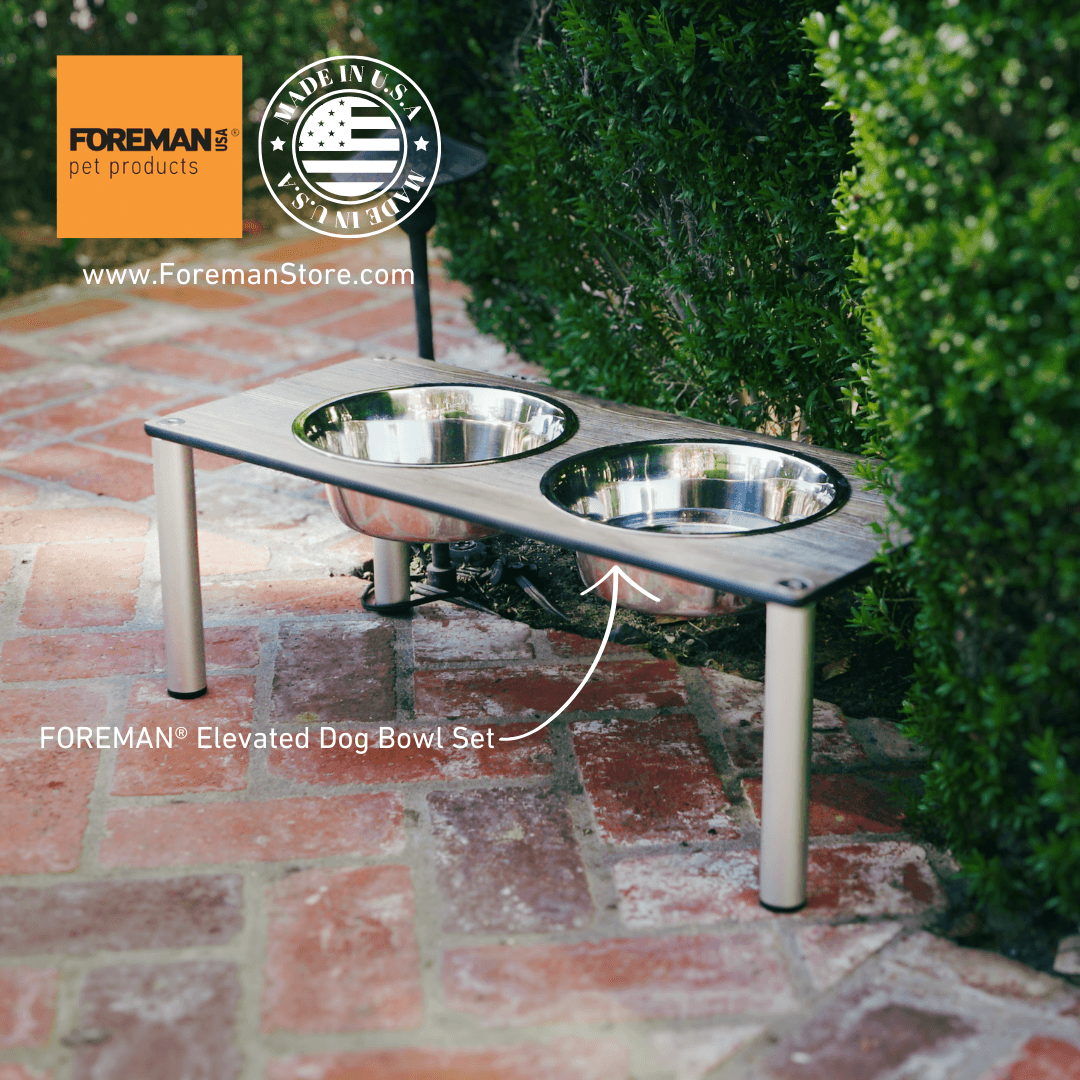 FOREMAN® Elevated Dog Bowl Set | Outdoor Rated - FOREMAN® Products