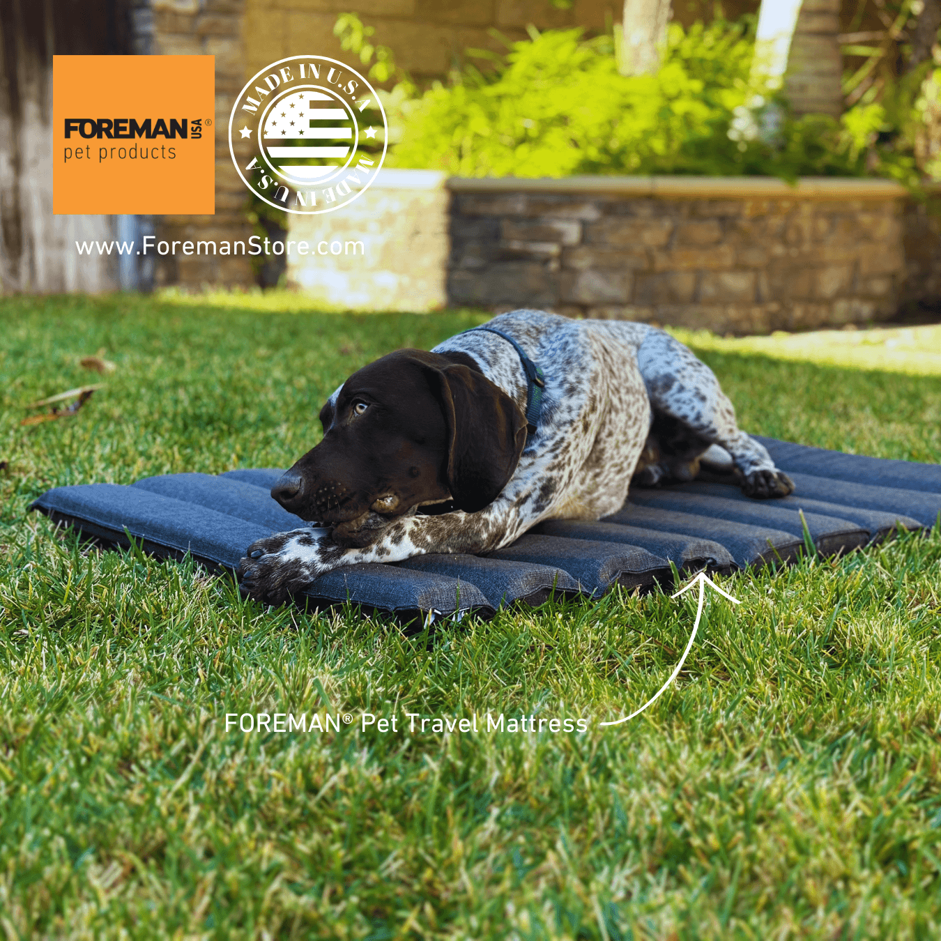 FOREMAN® Pet Foldable Travel Mattress - FOREMAN® Products