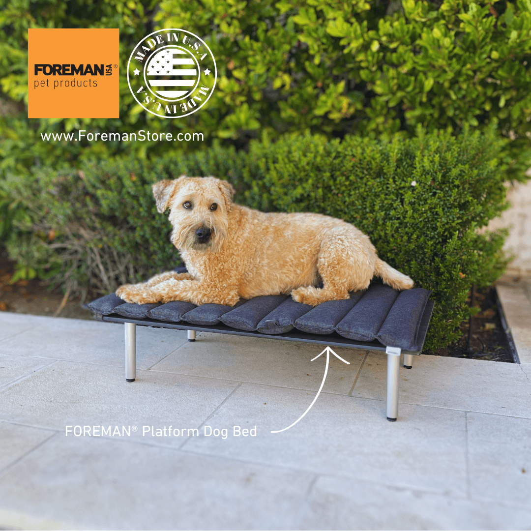 FOREMAN® Platform Dog Bed w/ Washable Mattress Cover - FOREMAN® Products