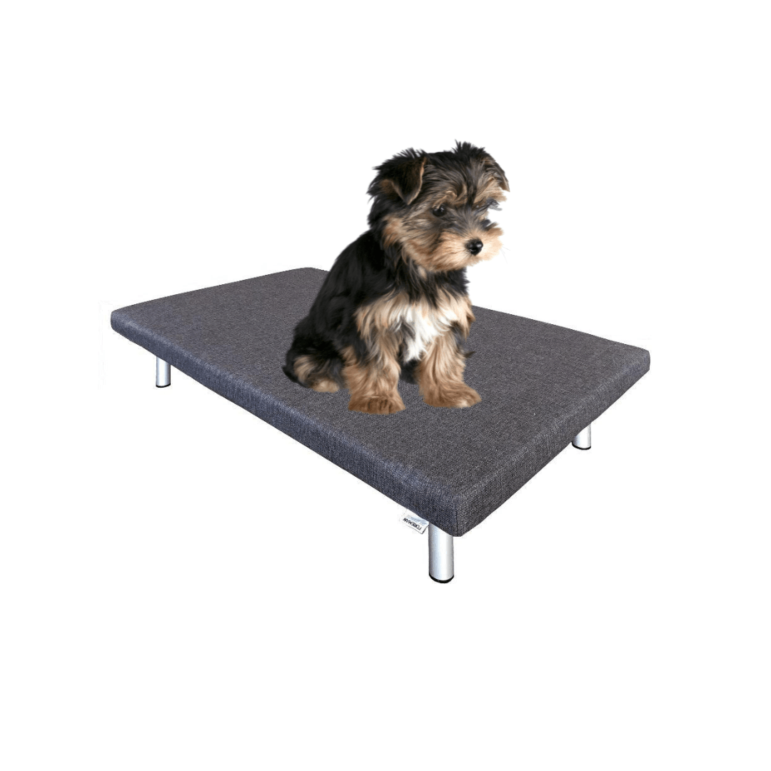 FOREMAN® Platform Dog Bed w/ Washable Mattress Cover - FOREMAN® Products