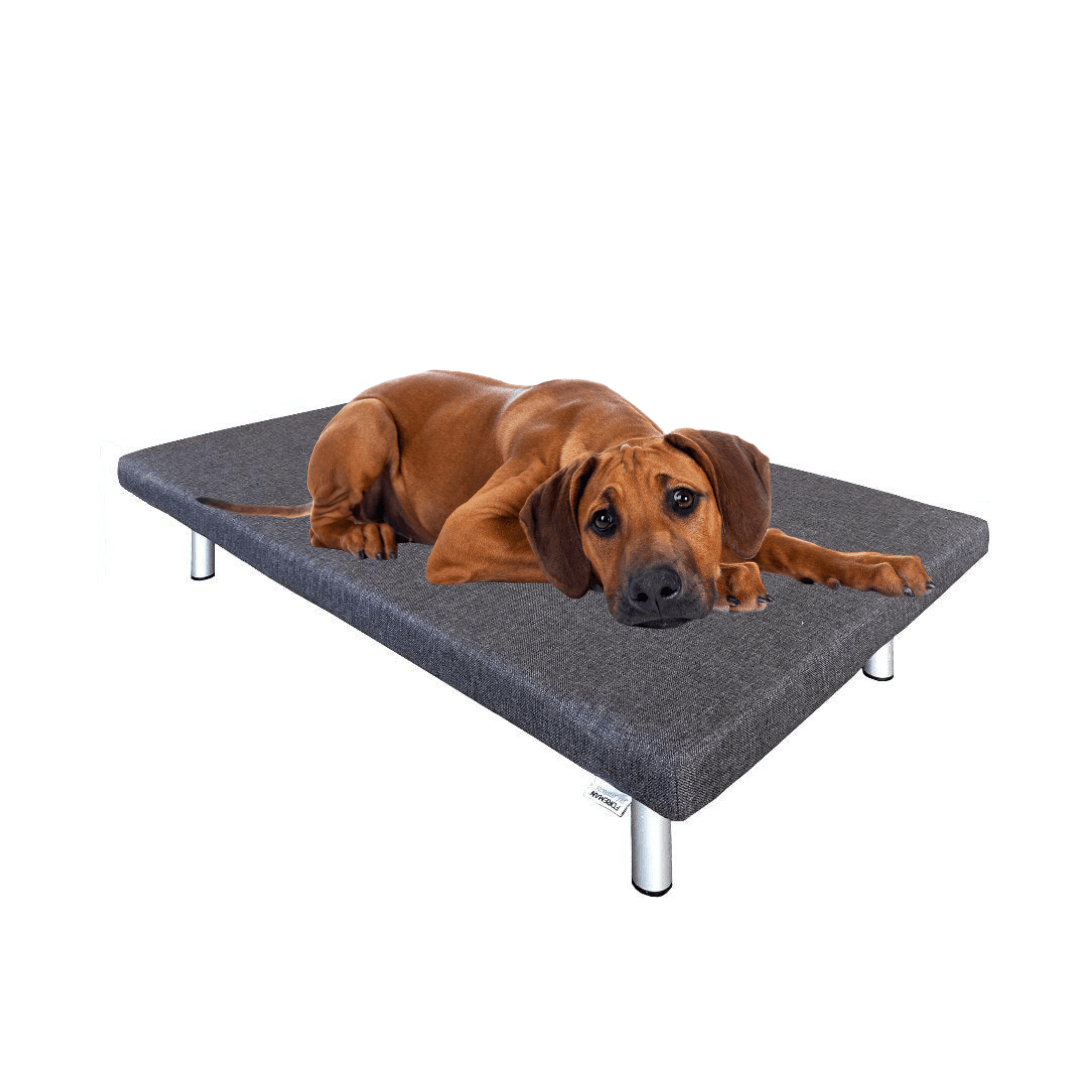 FOREMAN® Platform Dog Bed w/ Washable Mattress Cover - FOREMAN® Products