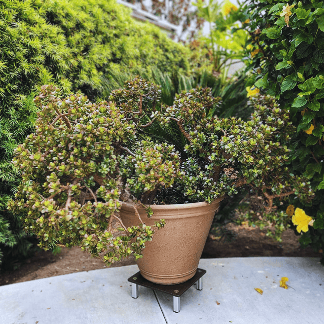 FOREMAN® Wood Grain HPL Plant Stand - FOREMAN® Products