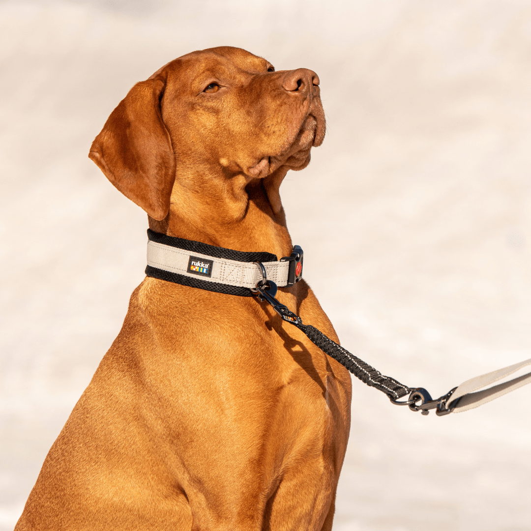 RUKKA® Bliss X Soft Collar - FOREMAN® Products
