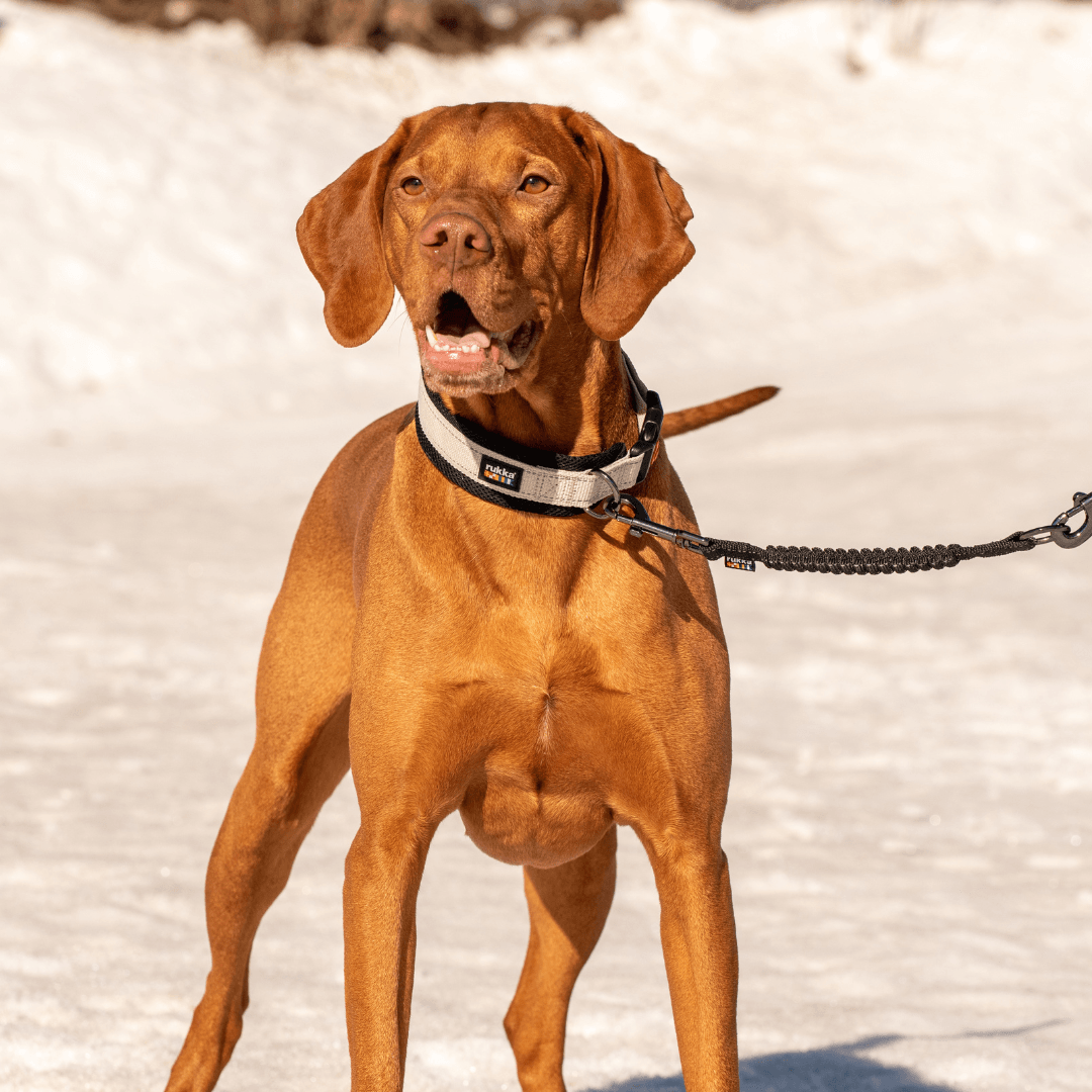 RUKKA® Bliss X Soft Collar - FOREMAN® Products