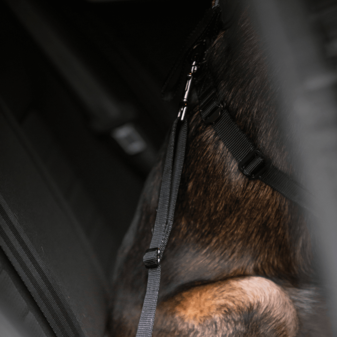 RUKKA® Car Harness - FOREMAN® Products