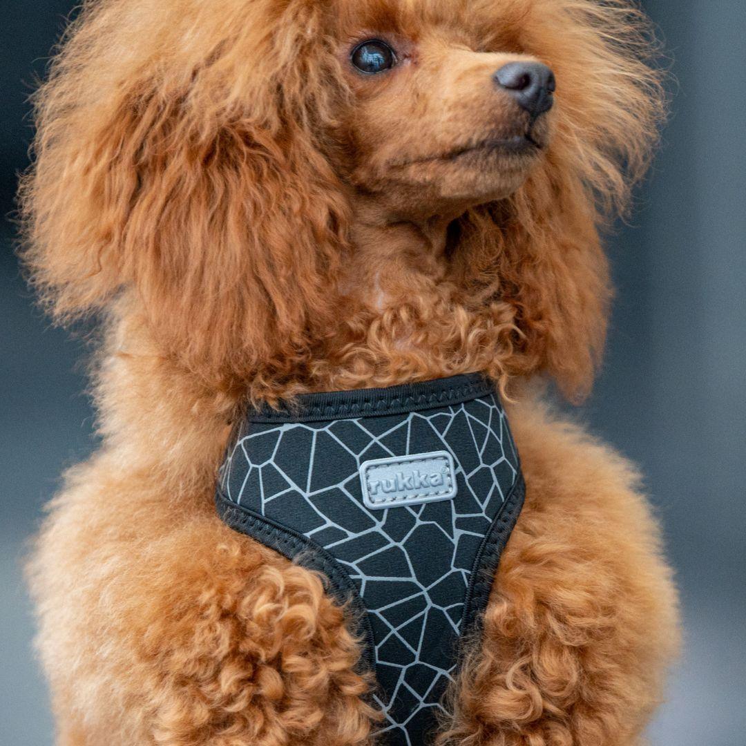 RUKKA® Cube Mini Harness - FOREMAN® Products