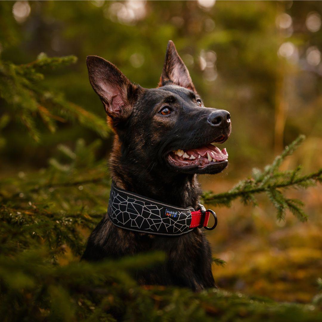 RUKKA® Cube Soft Collar - FOREMAN® Products
