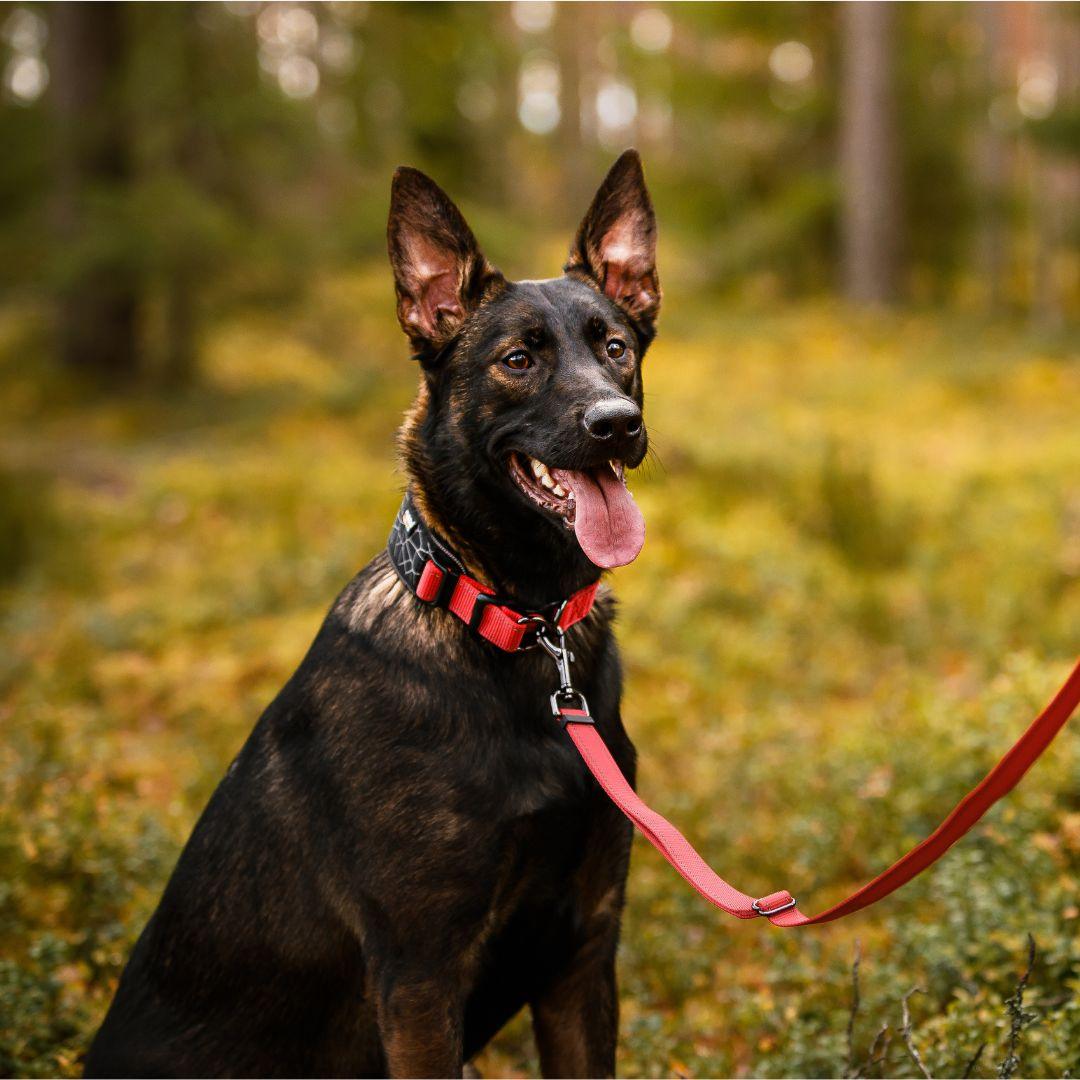 RUKKA® Cube Soft Collar - FOREMAN® Products