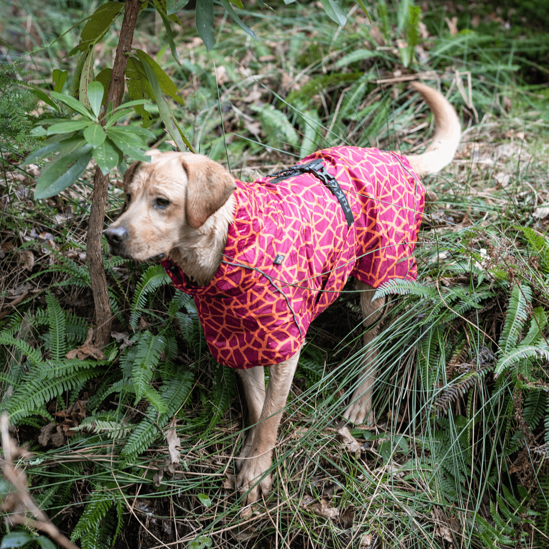 RUKKA® Hayton Warm Raincoat - Carmine - FOREMAN® Products