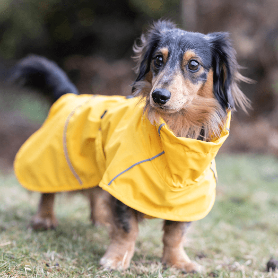 RUKKA® Hayton X Raincoat - FOREMAN® Products