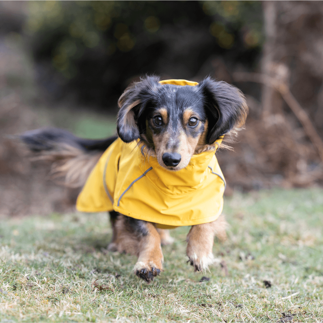 RUKKA® Hayton X Raincoat - FOREMAN® Products