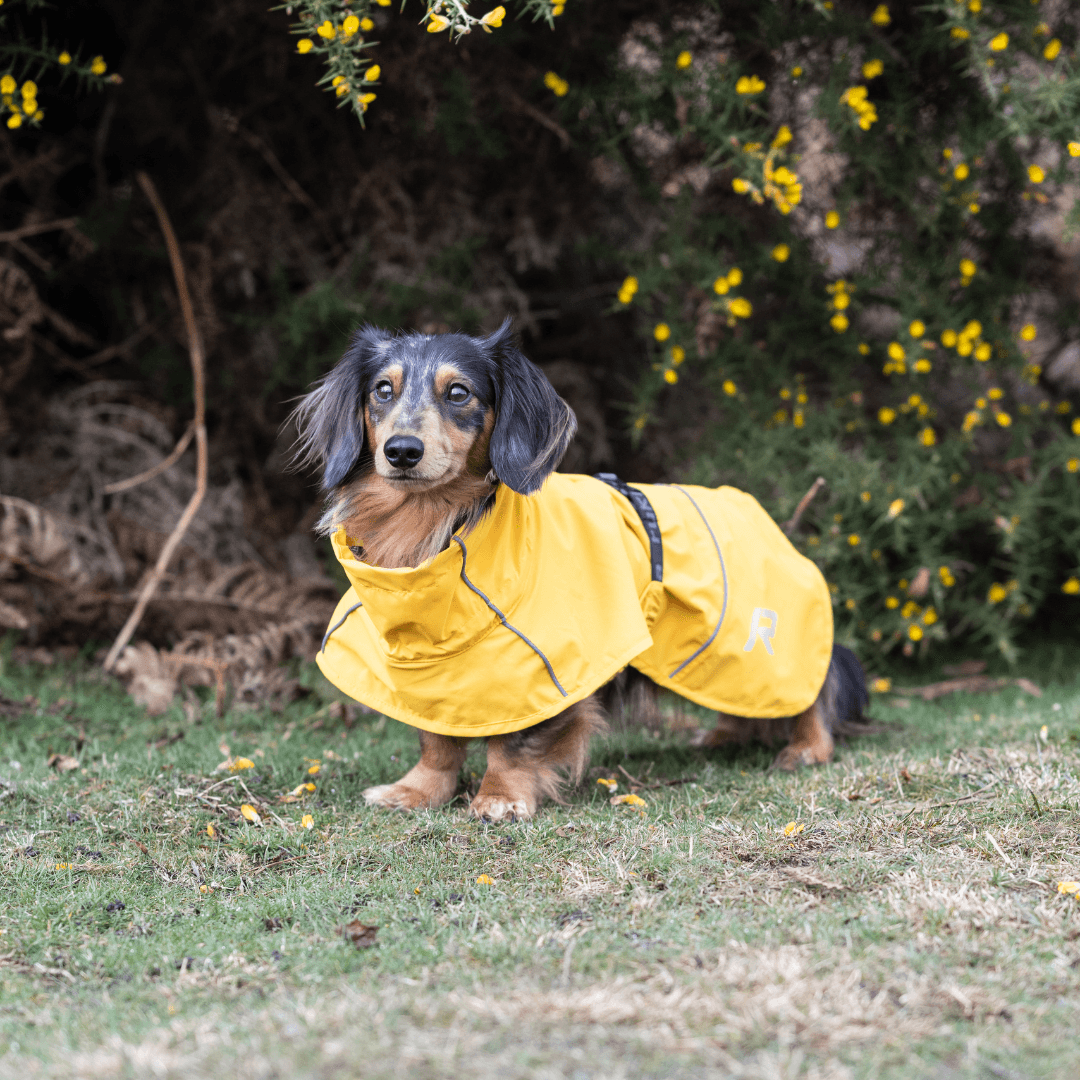 RUKKA® Hayton X Raincoat - FOREMAN® Products