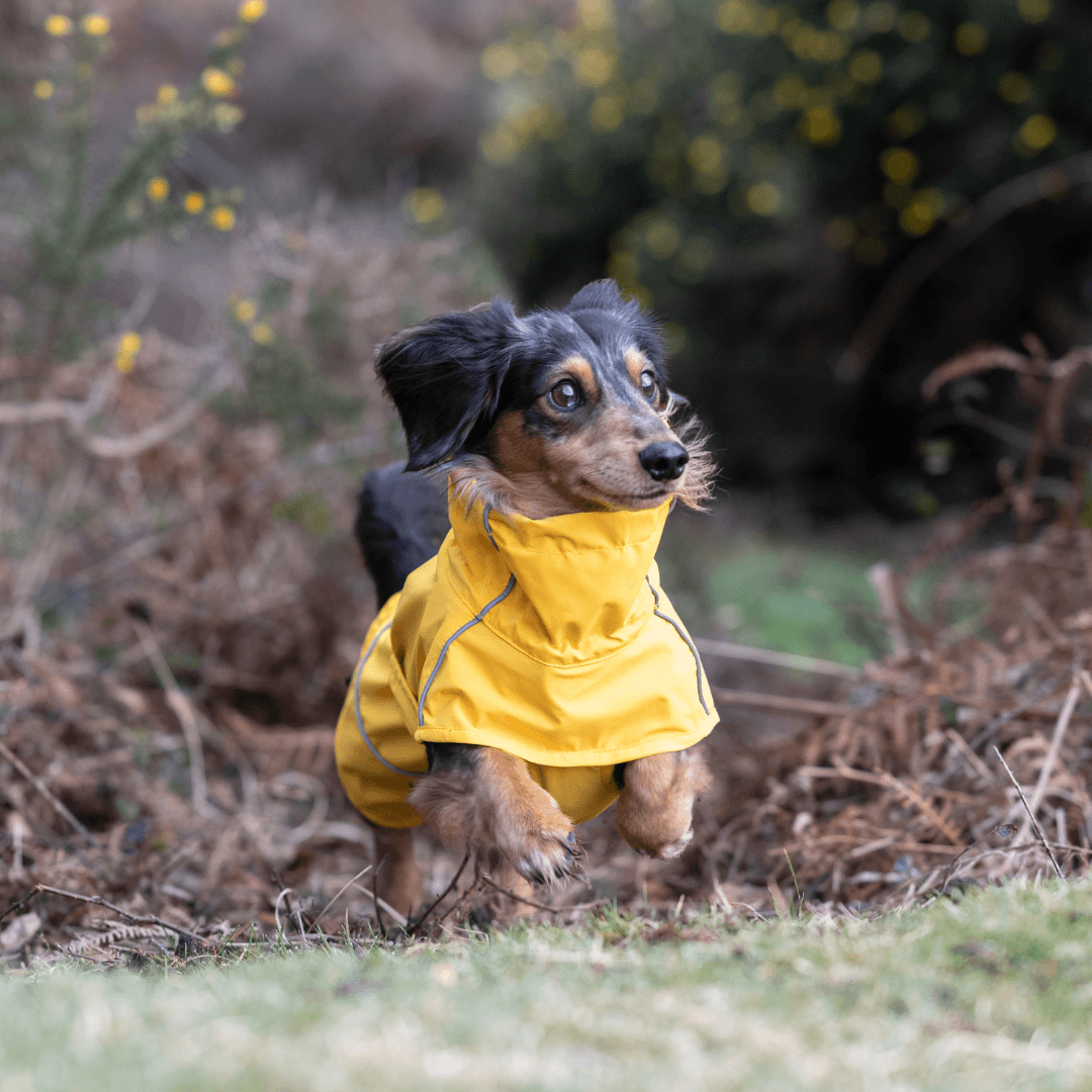 RUKKA® Hayton X Raincoat - FOREMAN® Products