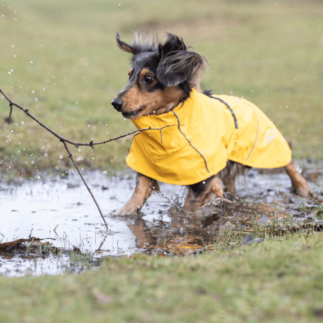 RUKKA® Hayton X Raincoat - FOREMAN® Products