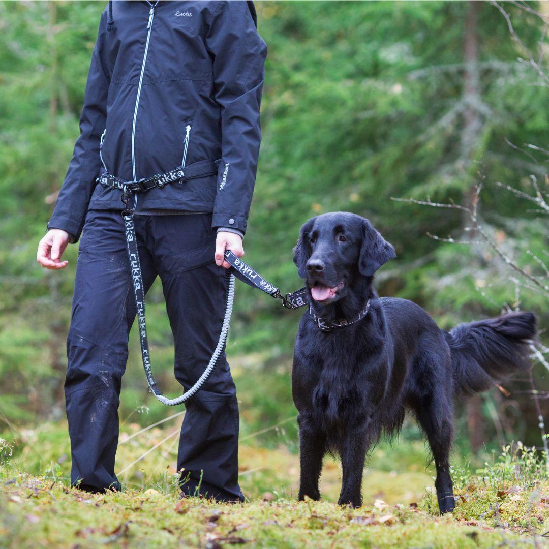 RUKKA® Hike Run Belt + Leash - FOREMAN® Products