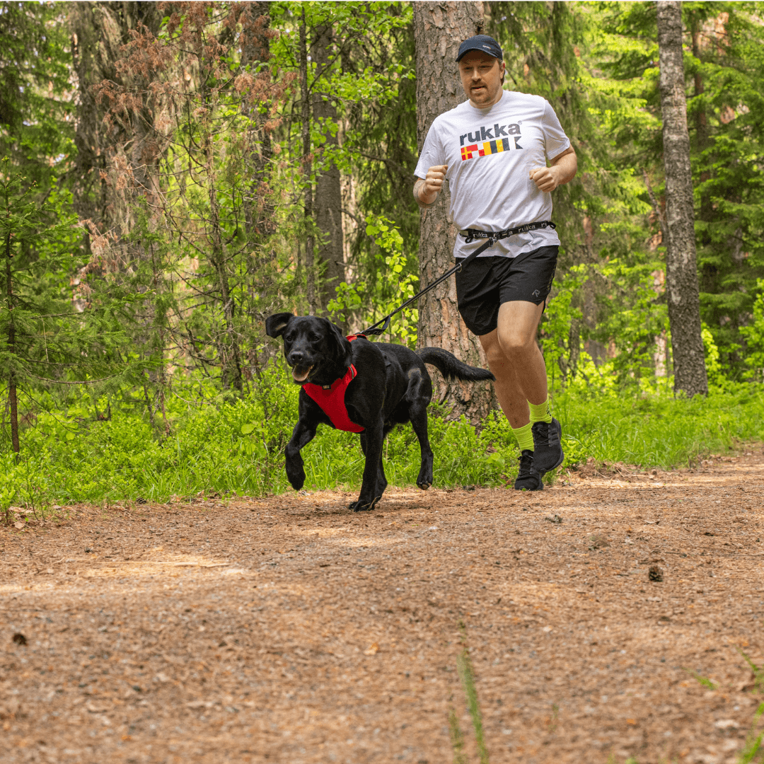 RUKKA® Hike Running Leash - FOREMAN® Products