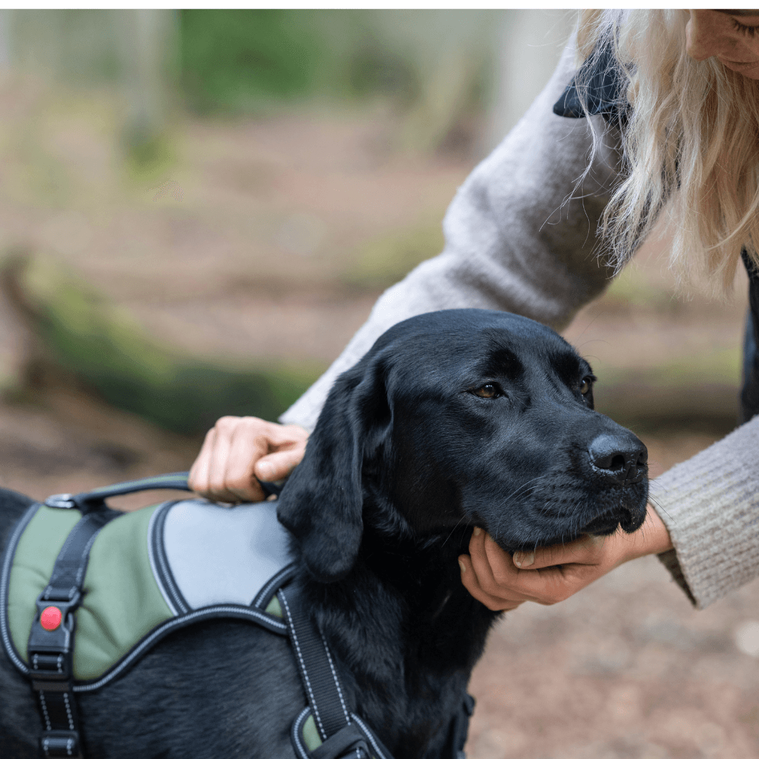 RUKKA® Mission Harness - FOREMAN® Products