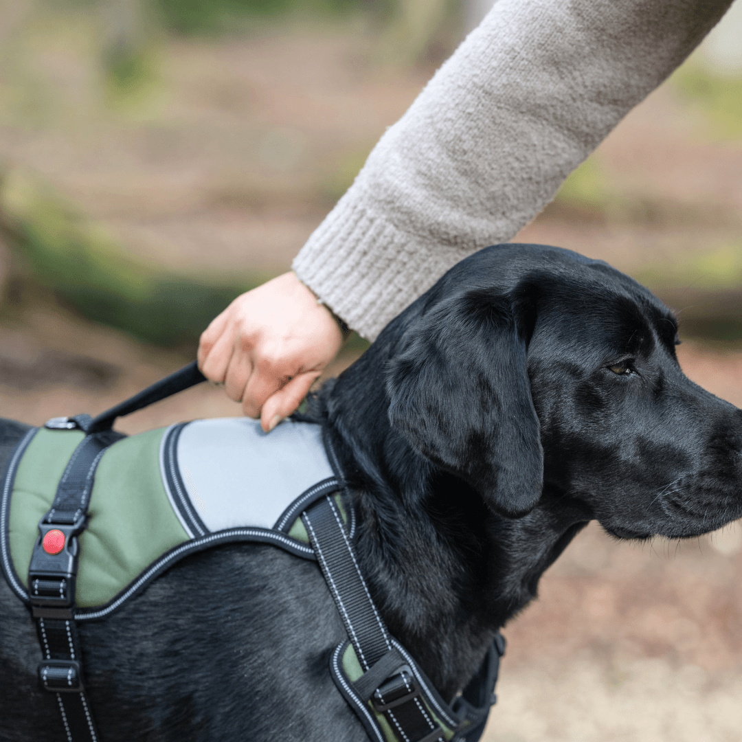 RUKKA® Mission Harness - FOREMAN® Products