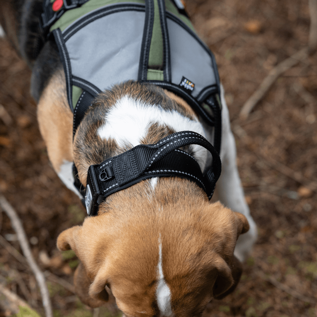 RUKKA® Mission Harness - FOREMAN® Products