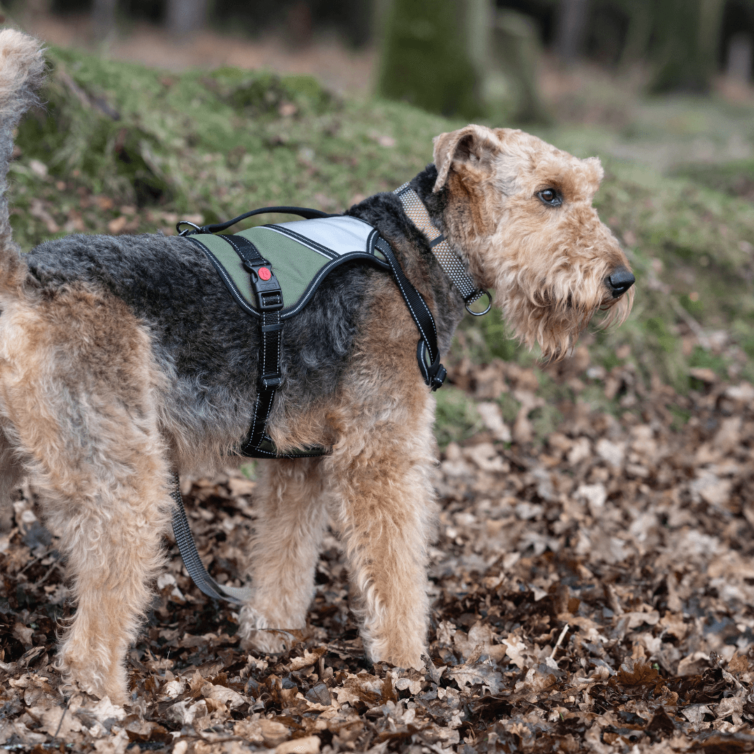 RUKKA® Mission Harness - FOREMAN® Products