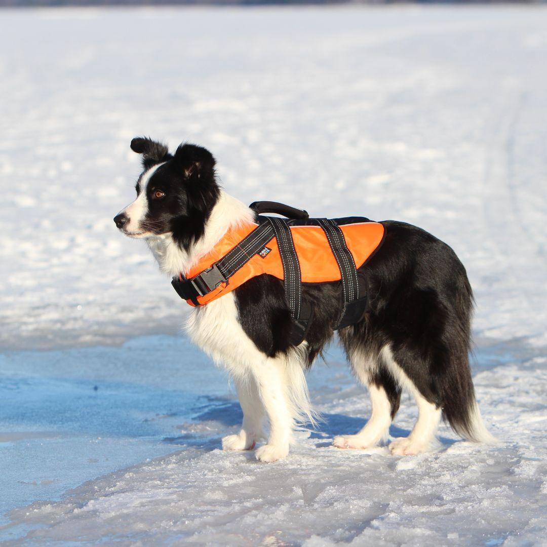 RUKKA® Safety Life Vest - FOREMAN® Products