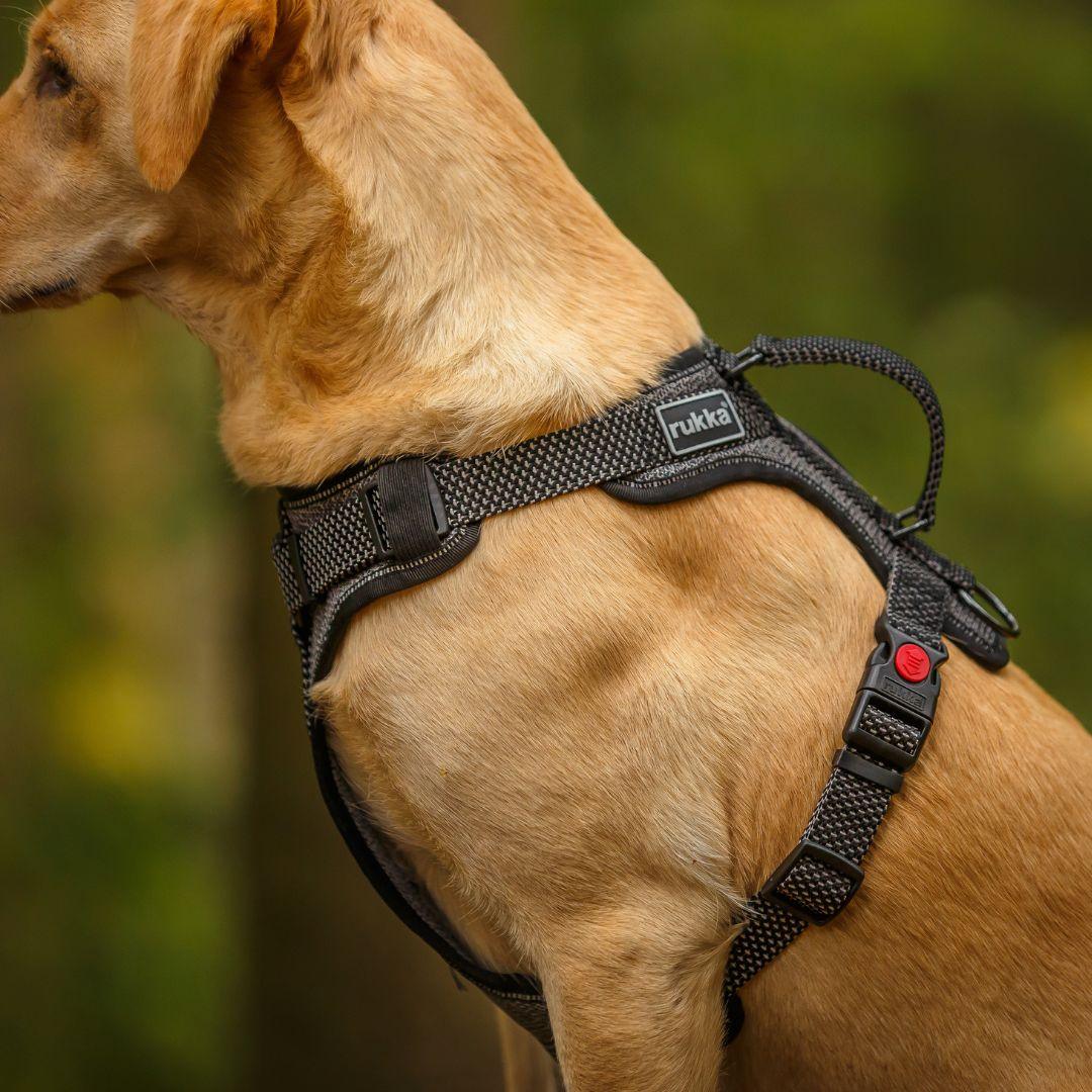 RUKKA® Star Harness - FOREMAN® Products