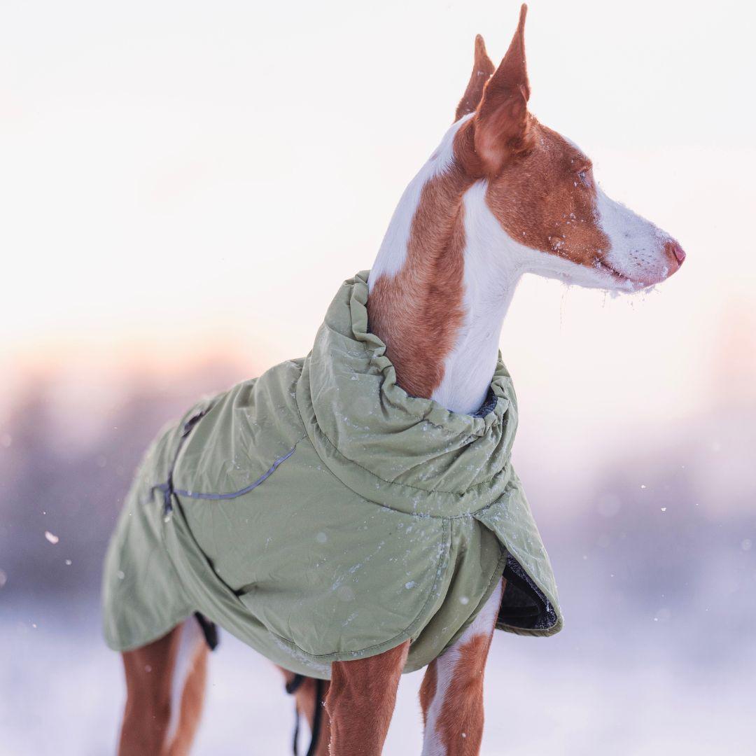 RUKKA® Stormy X Coat - FOREMAN® Products