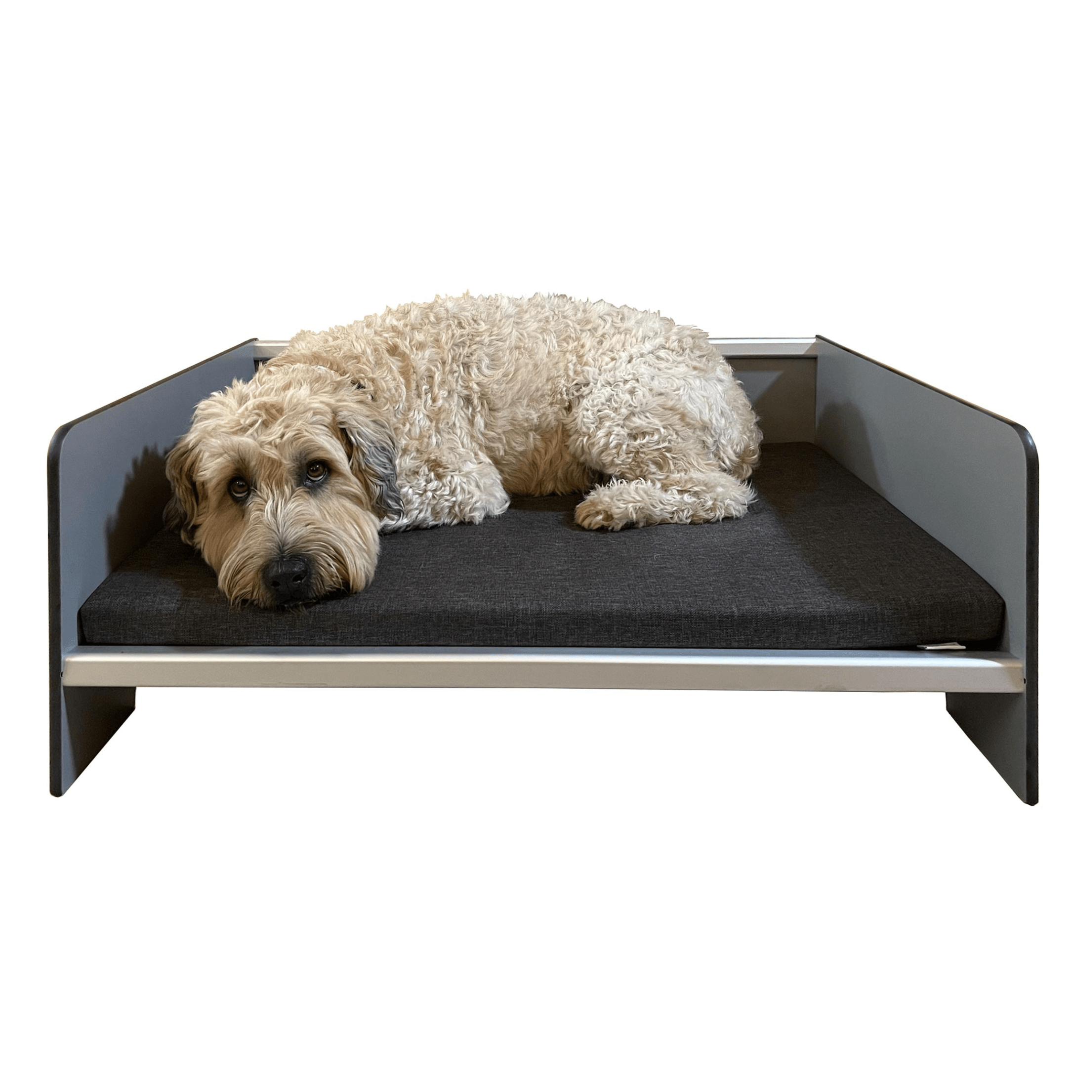 FOREMAN® Elevated Dog Bed with Washable Mattress Cover - FOREMAN® Products