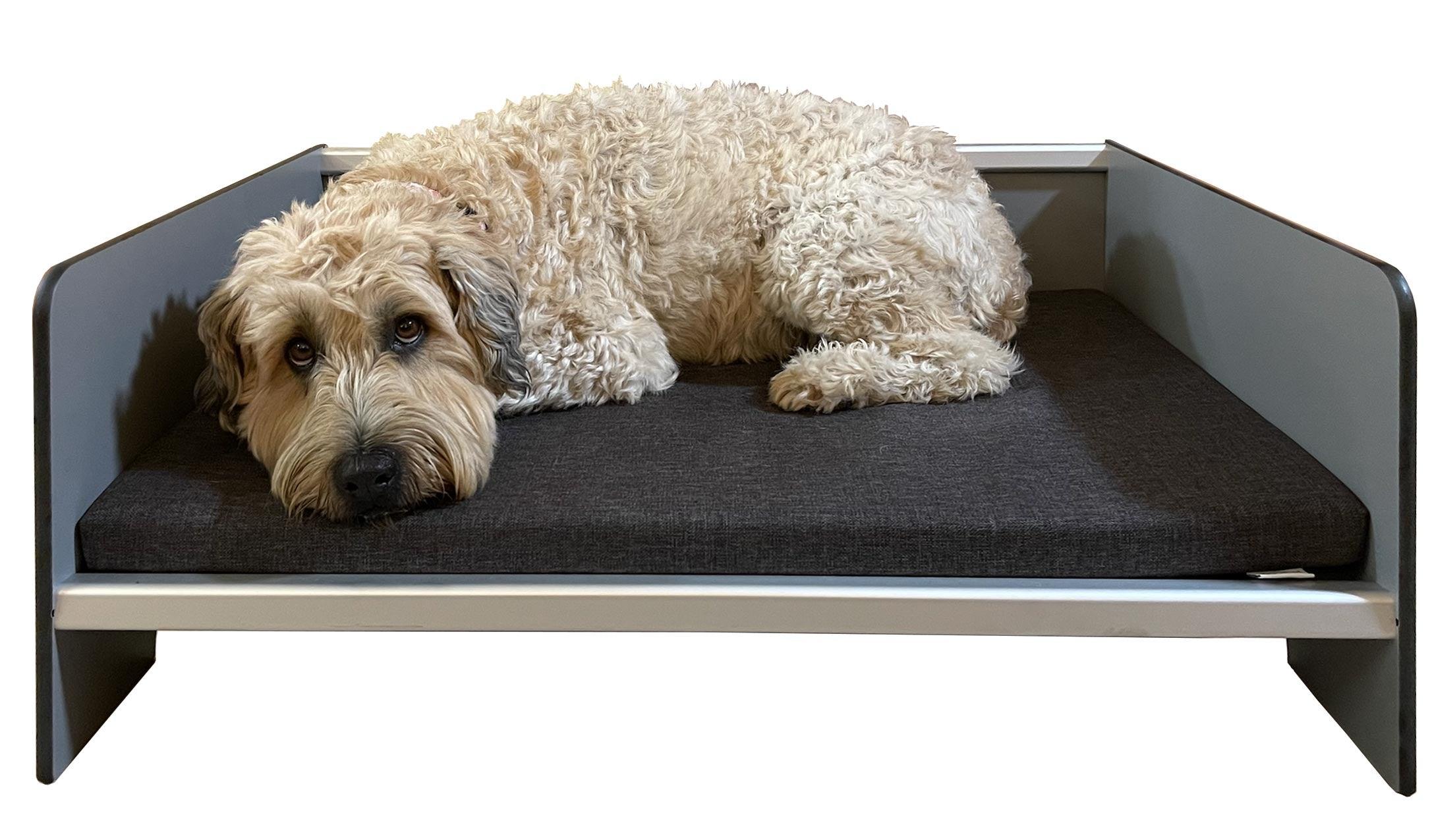 FOREMAN® Elevated Dog Bed with Washable Mattress Cover - FOREMAN® Products