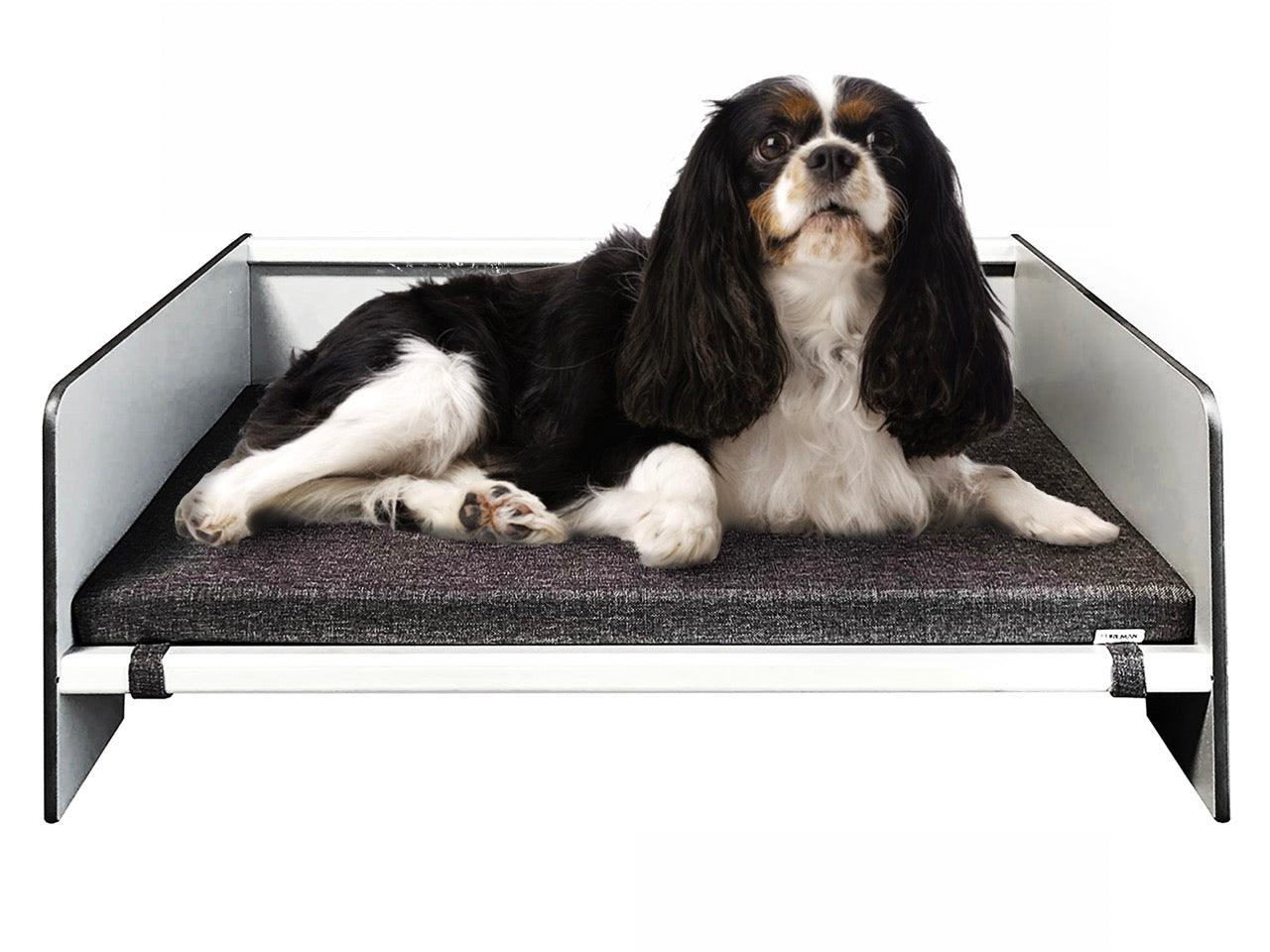 FOREMAN® Elevated Dog Bed with Washable Mattress Cover - FOREMAN® Products