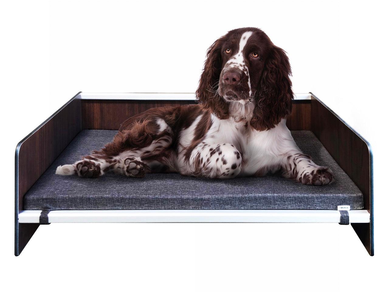 FOREMAN® Elevated Dog Bed with Washable Mattress Cover - FOREMAN® Products