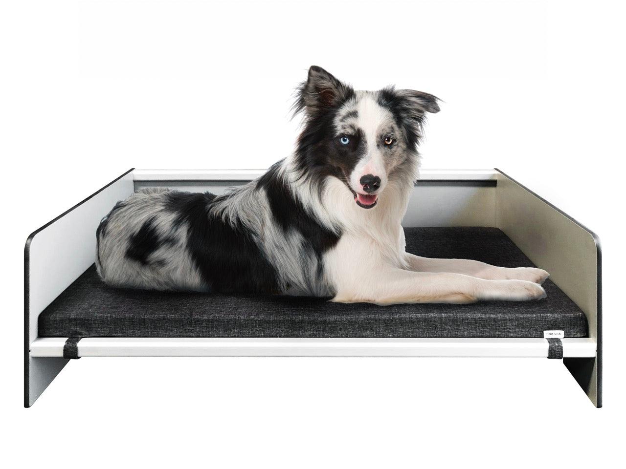FOREMAN® Elevated Dog Bed with Washable Mattress Cover - FOREMAN® Products