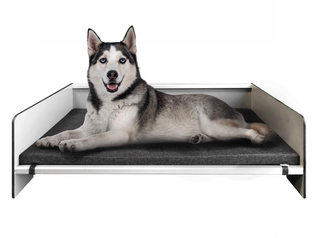 FOREMAN® Elevated Dog Bed with Washable Mattress Cover - FOREMAN® Products