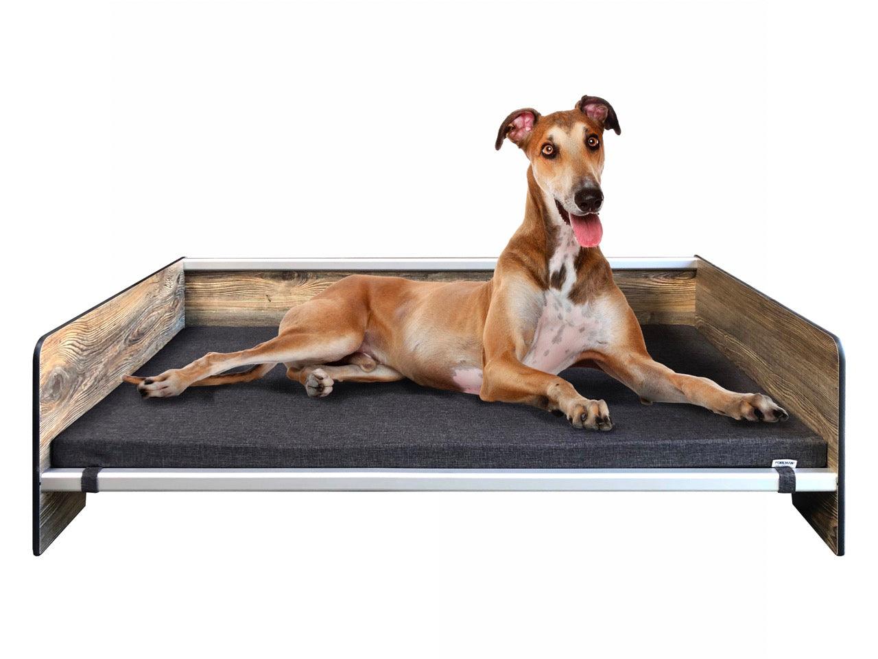 FOREMAN® Elevated Dog Bed with Washable Mattress Cover - FOREMAN® Products