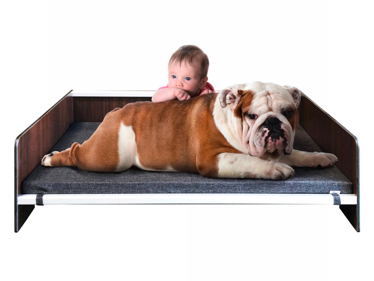 FOREMAN® Elevated Dog Bed with Washable Mattress Cover - FOREMAN® Products