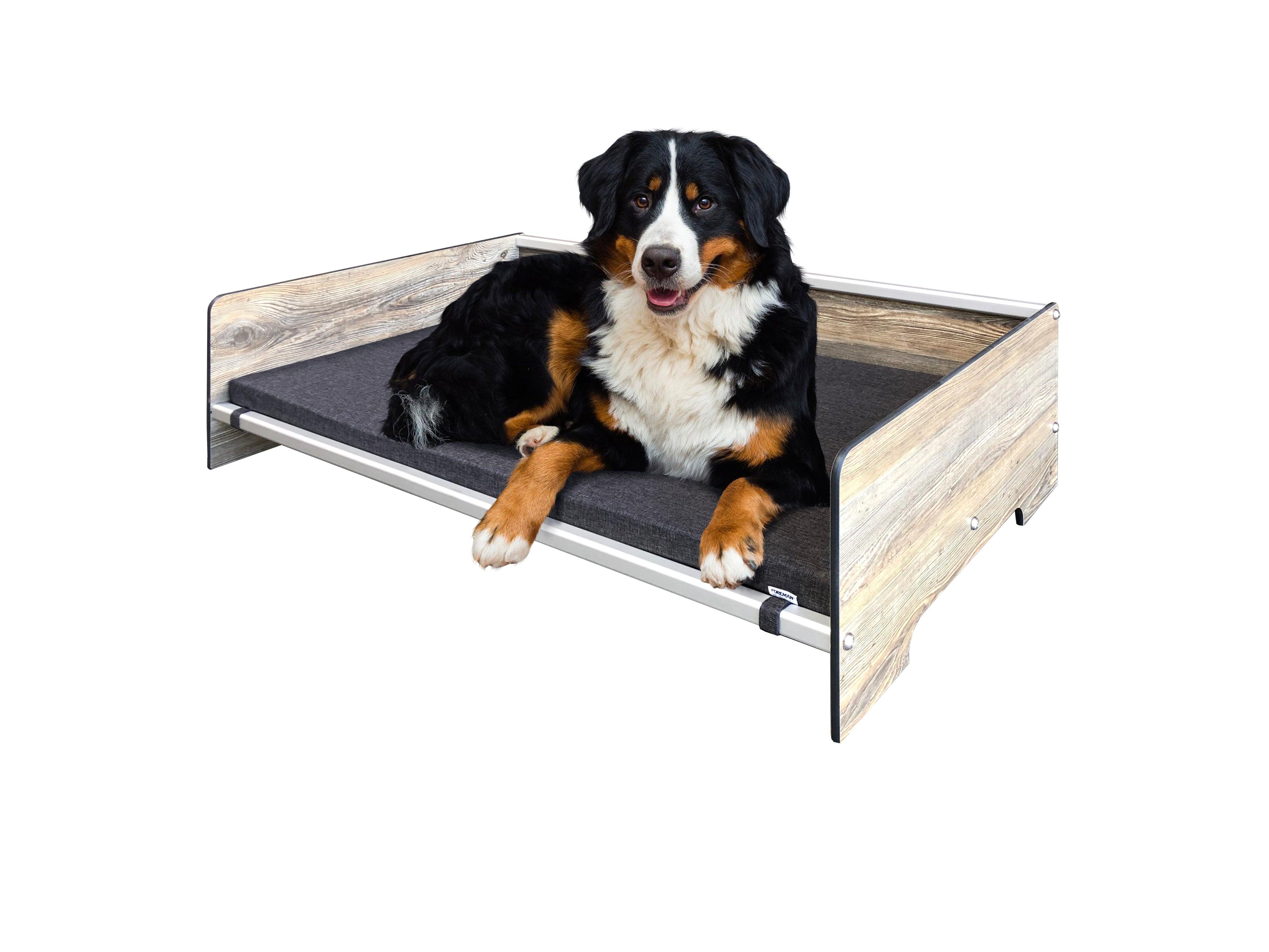 FOREMAN® Elevated Dog Bed with Washable Mattress Cover - FOREMAN® Products