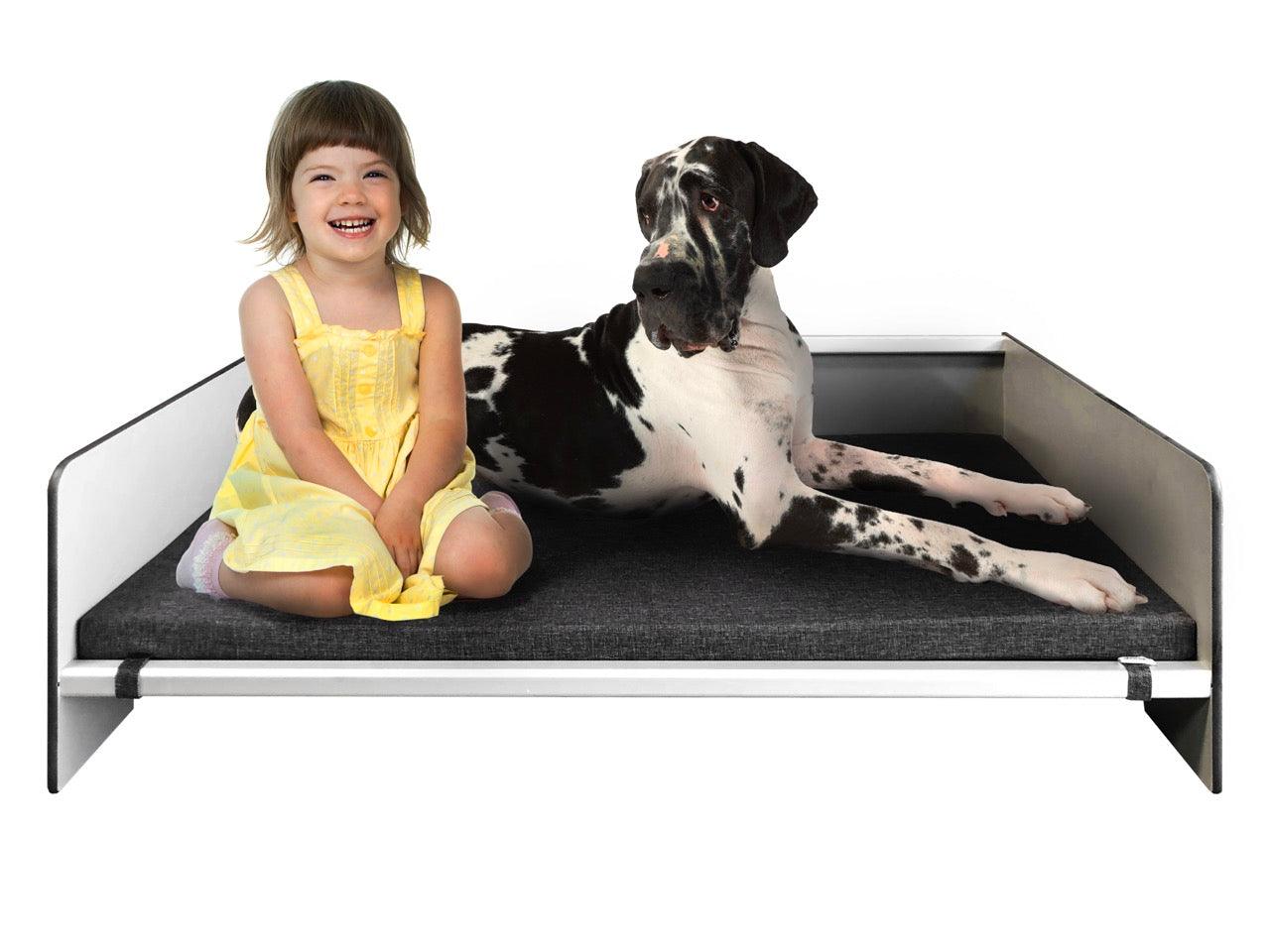 FOREMAN® Elevated Dog Bed with Washable Mattress Cover - FOREMAN® Products