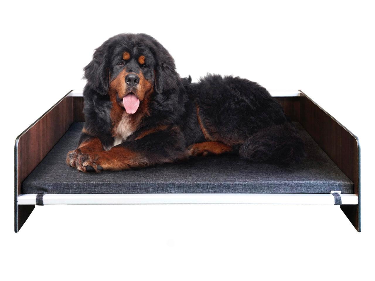 FOREMAN® Elevated Dog Bed with Washable Mattress Cover - FOREMAN® Products