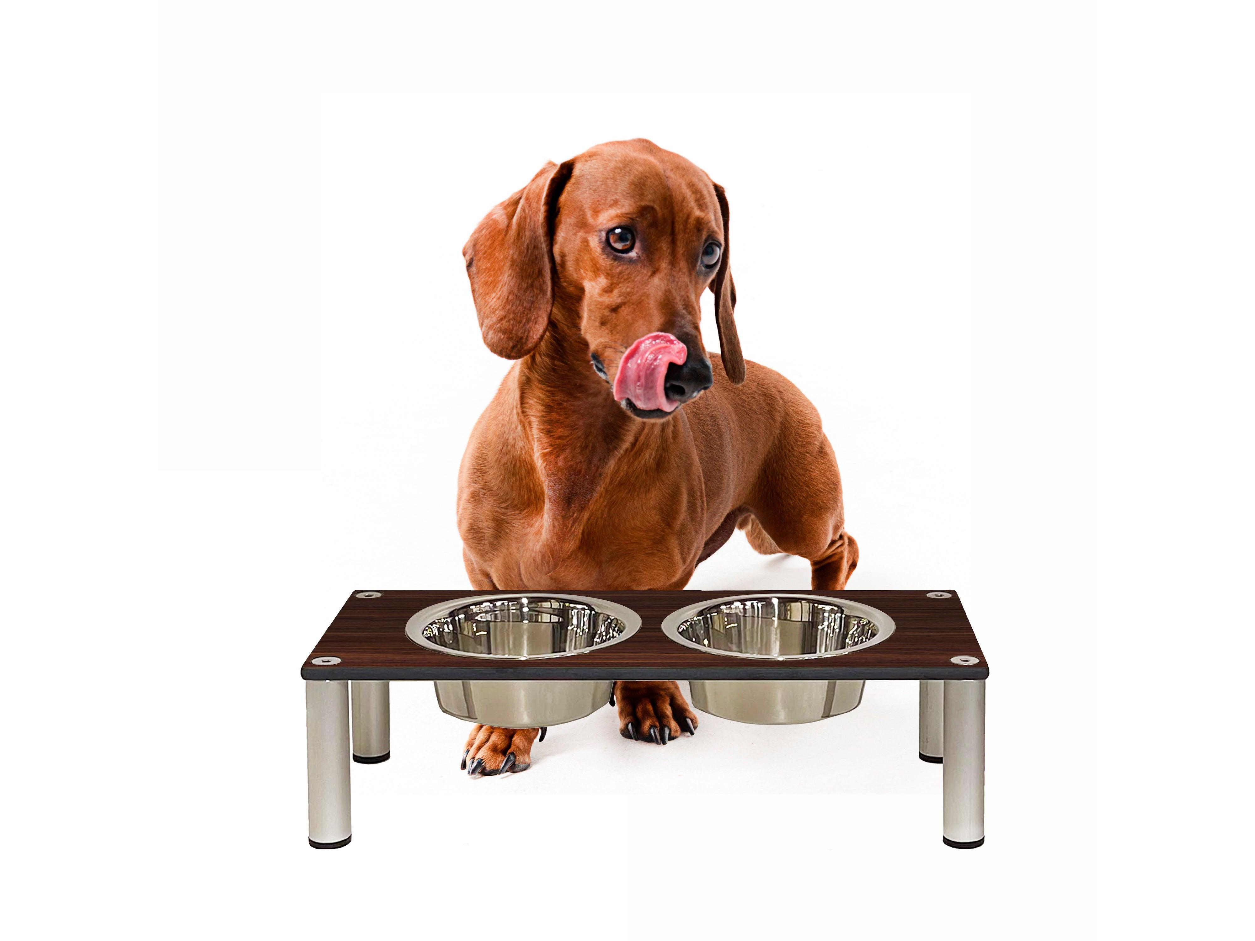 FOREMAN® Elevated Dog Bowl Set | Outdoor Rated - FOREMAN® Products