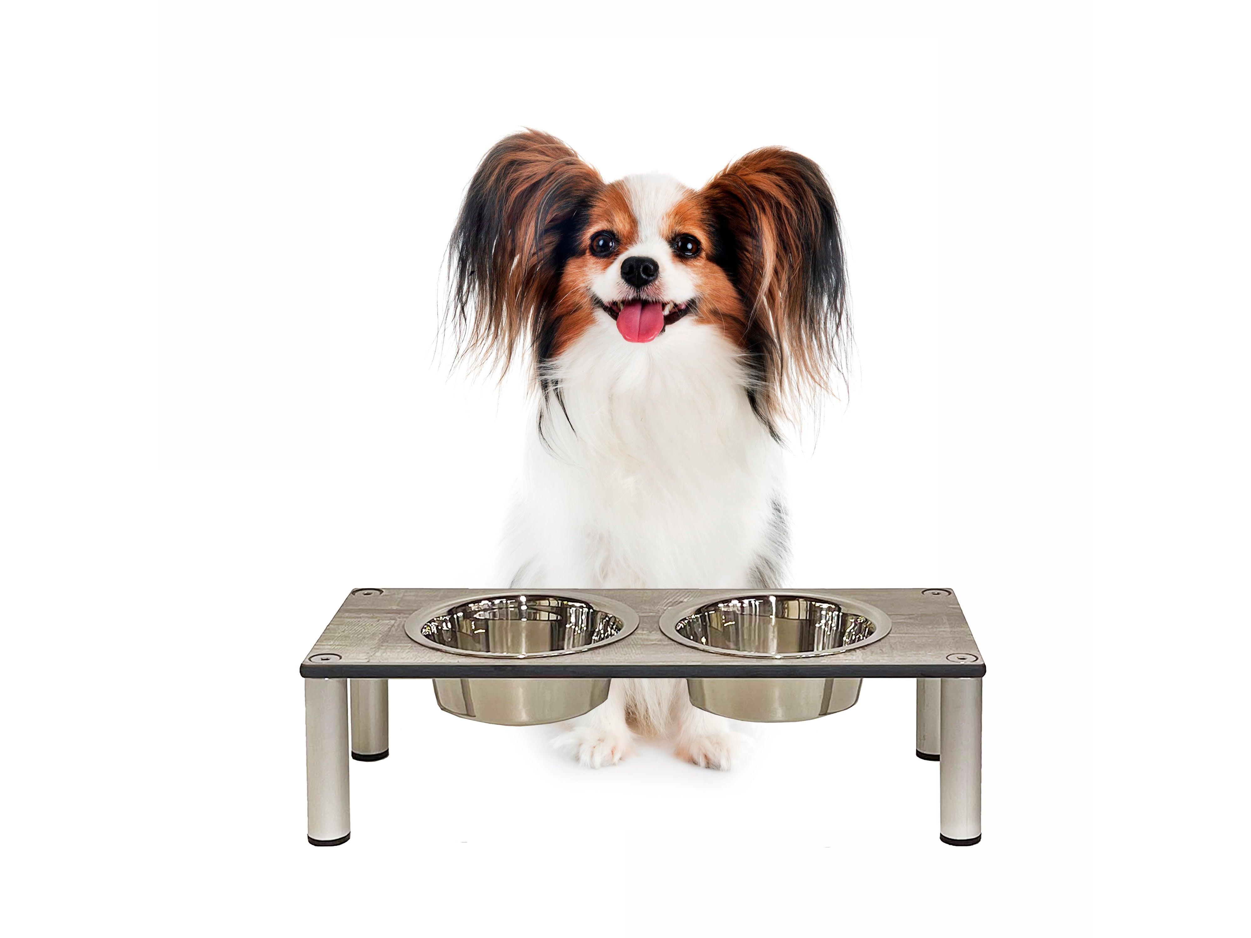 FOREMAN® Elevated Dog Bowl Set | Outdoor Rated - FOREMAN® Products