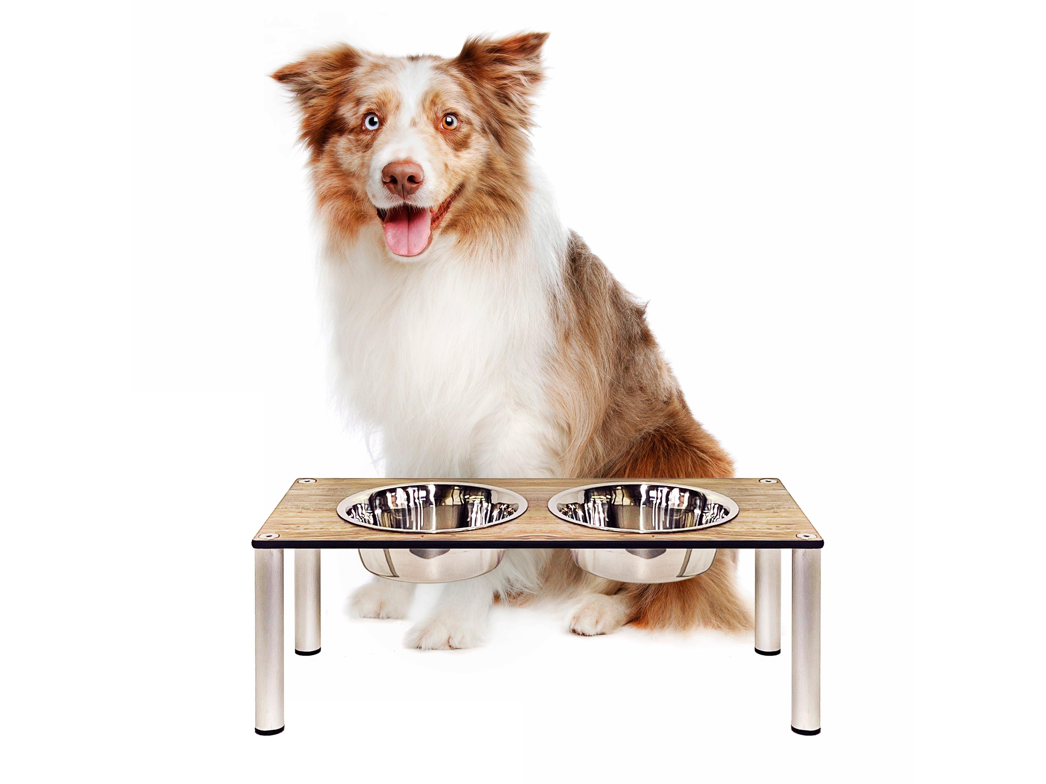 FOREMAN® Elevated Dog Bowl Set | Outdoor Rated - FOREMAN® Products