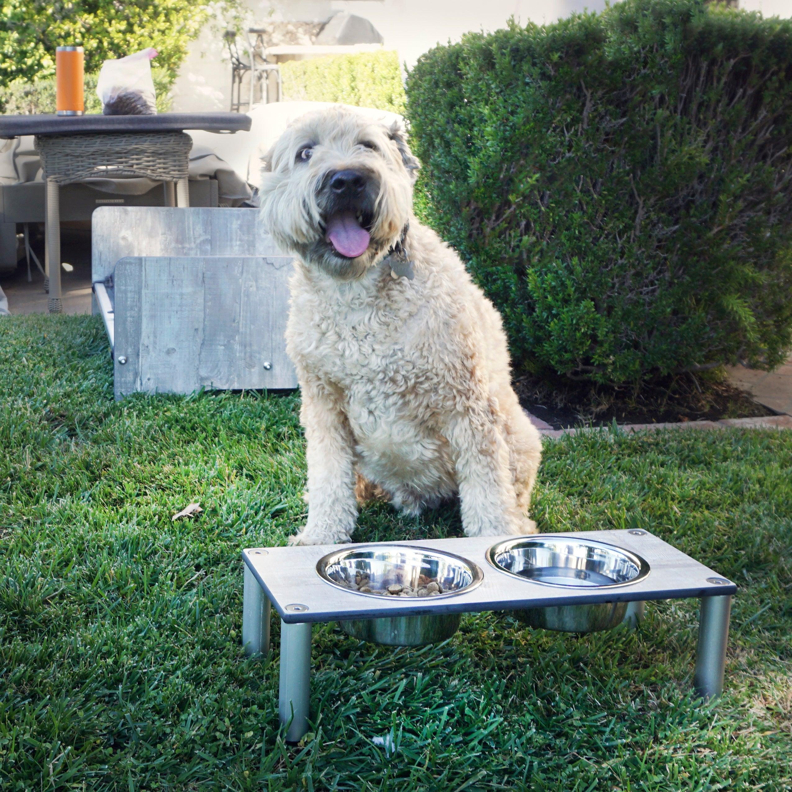 FOREMAN® Elevated Dog Bowl Set | Outdoor Rated - FOREMAN® Products