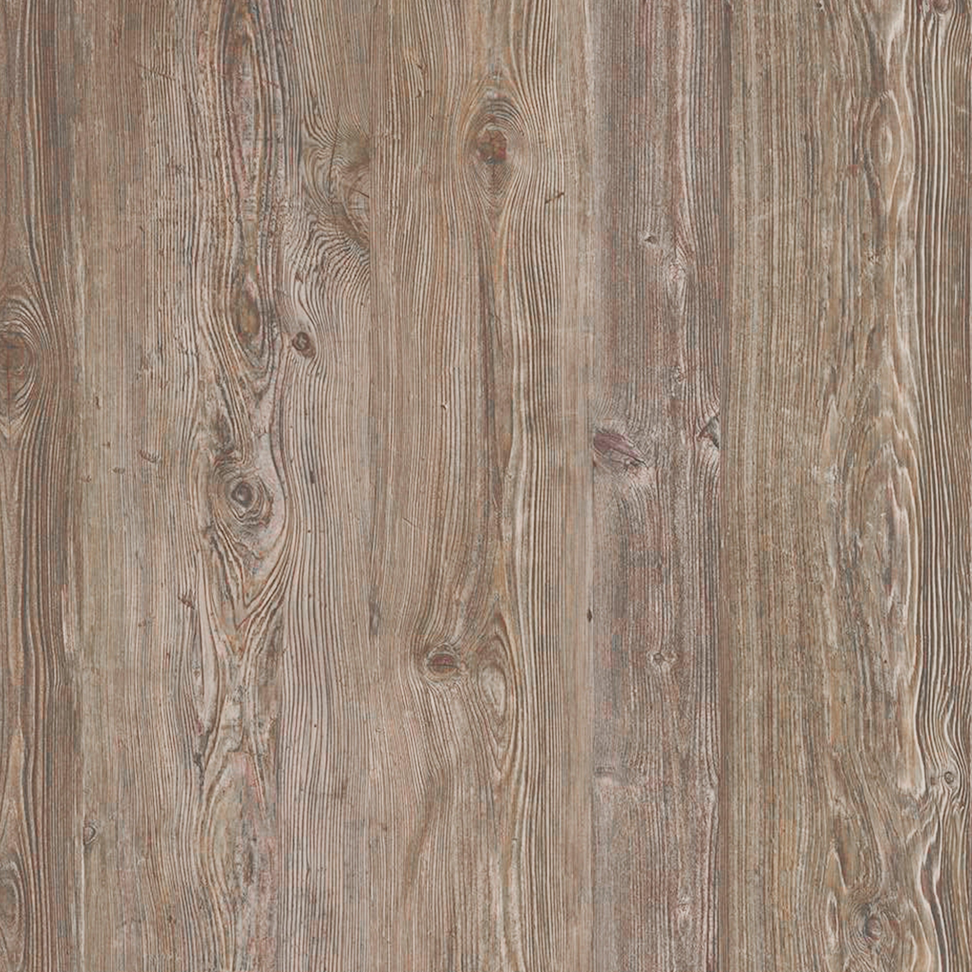 FOREMAN® Elevated Dog Bowl Set | Outdoor Rated - FOREMAN® Products