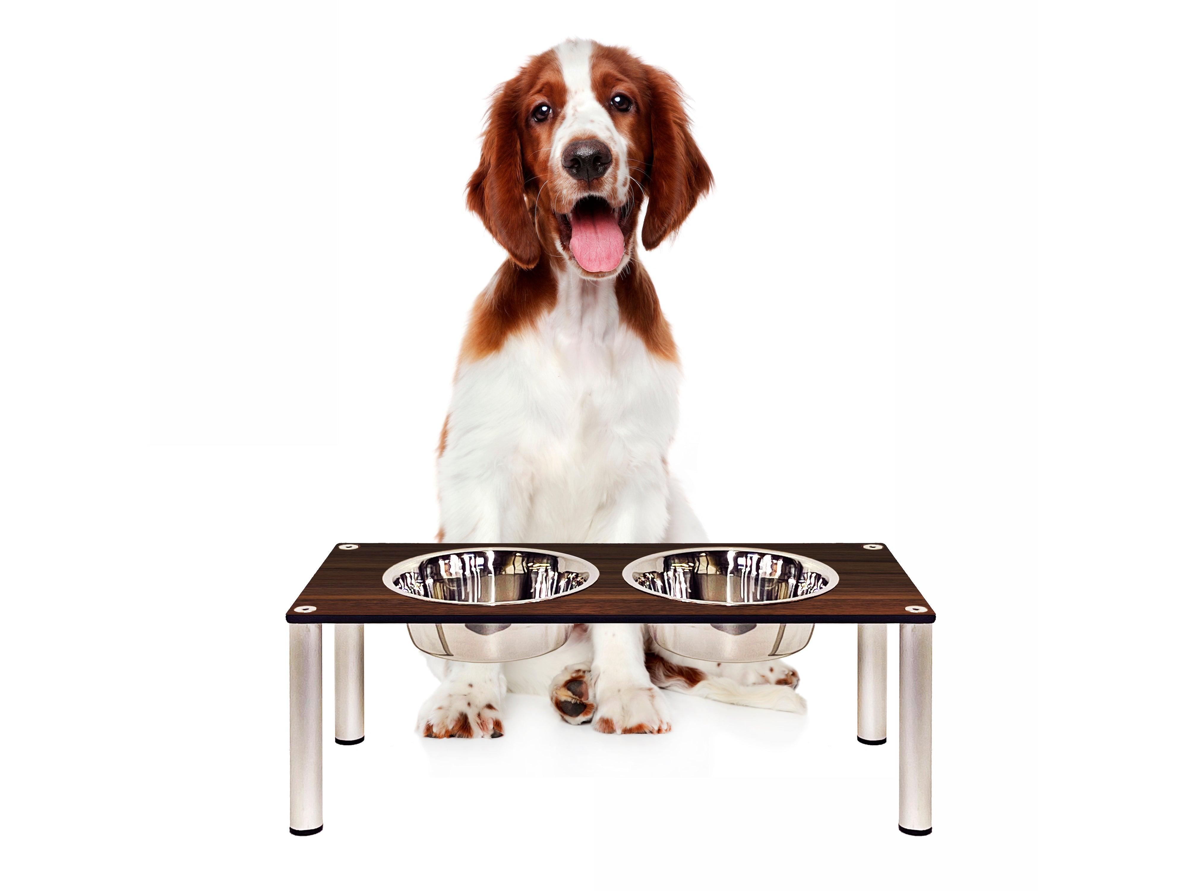 FOREMAN® Elevated Dog Bowl Set | Outdoor Rated - FOREMAN® Products