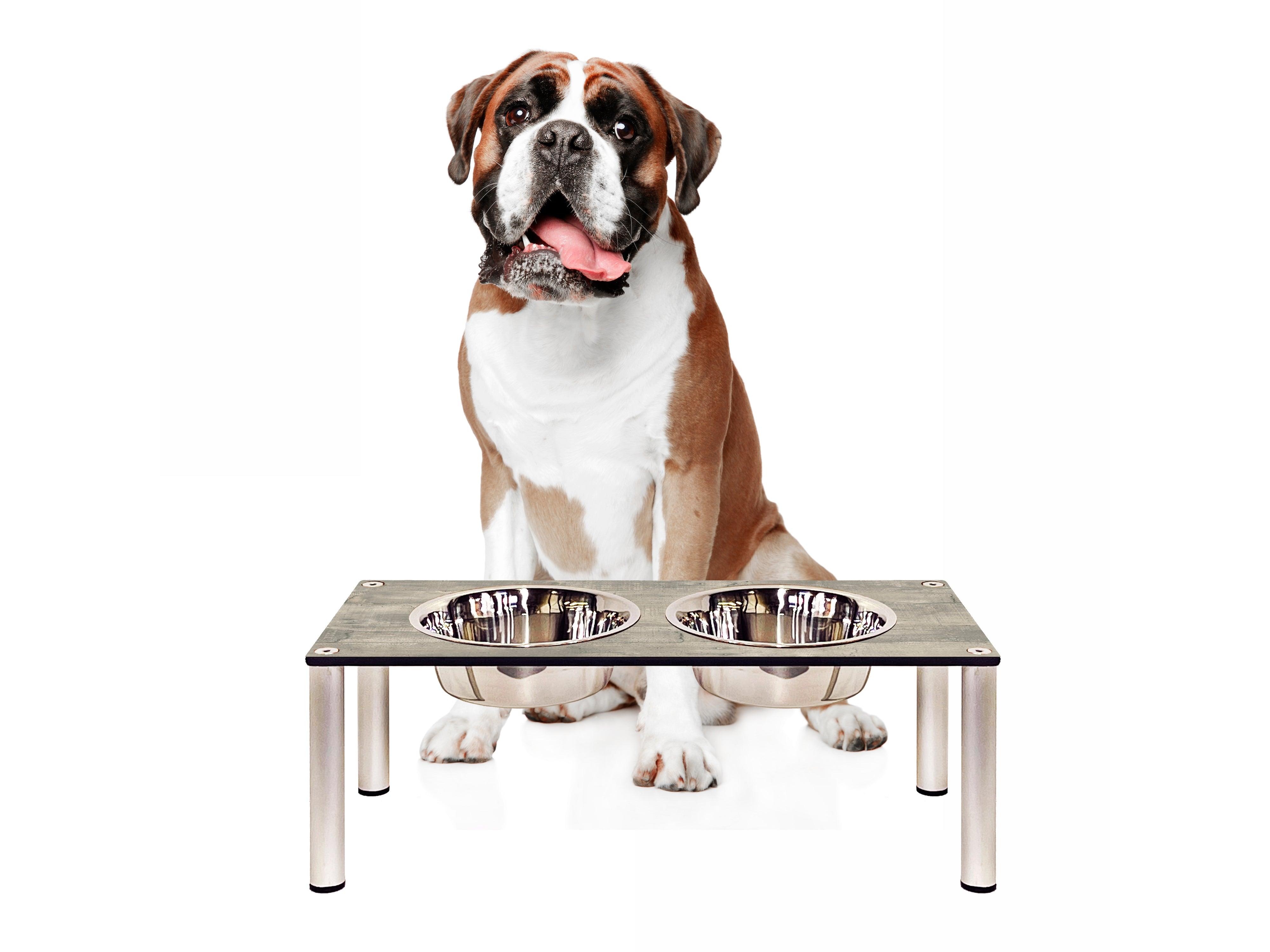 FOREMAN® Elevated Dog Bowl Set | Outdoor Rated - FOREMAN® Products