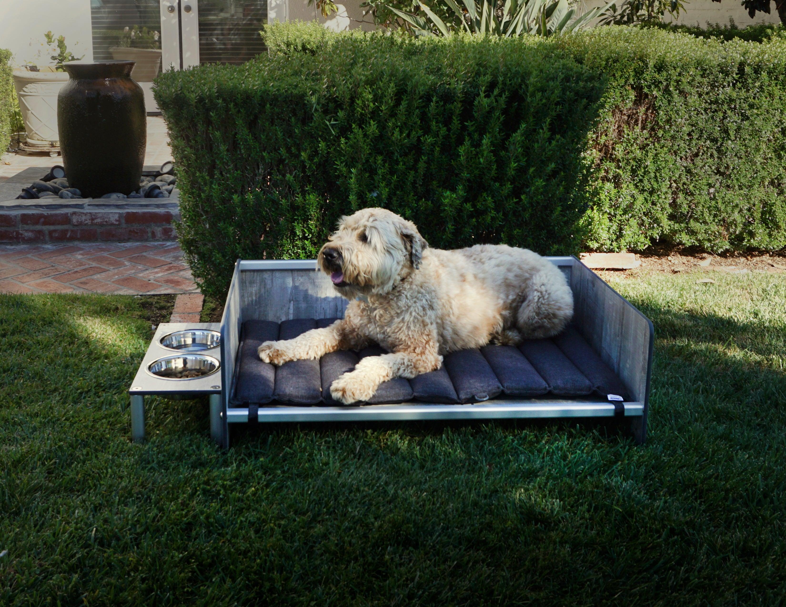 FOREMAN® Elevated Dog Bowl Set | Outdoor Rated - FOREMAN® Products