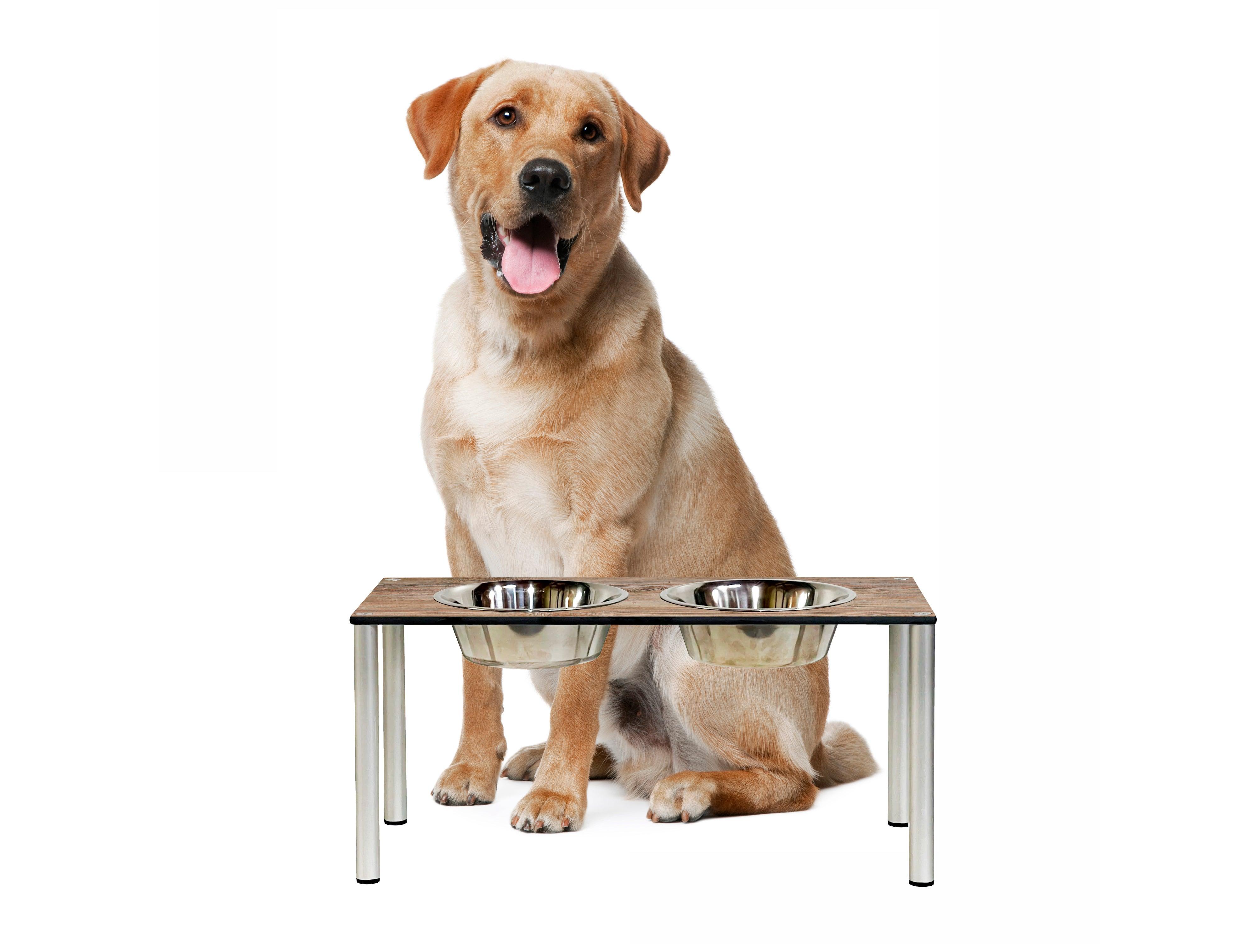 FOREMAN® Elevated Dog Bowl Set | Outdoor Rated - FOREMAN® Products